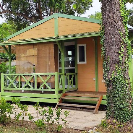 Casa Di Marina - Chalet Bungalow Hotel Sorbo-Ocagnano Екстериор снимка